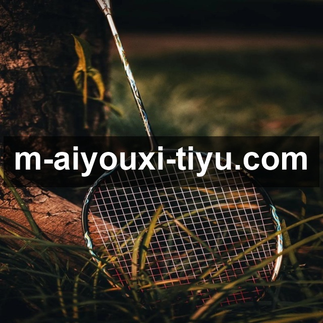 解读爱游戏体育